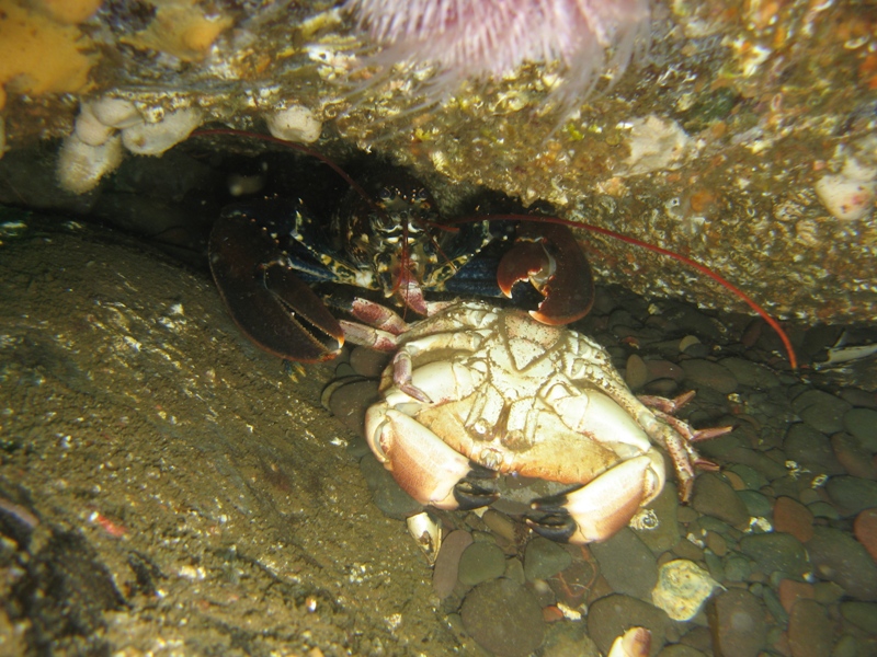 Abbs August '09 086.jpg